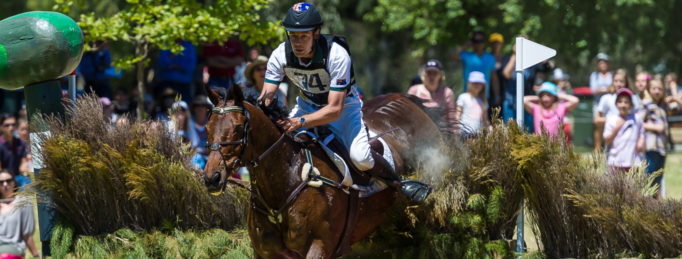 Discipline rules & regulations Equestrian Australia